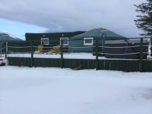 Colourful Mongolian Yurt Enjoy A New Experience