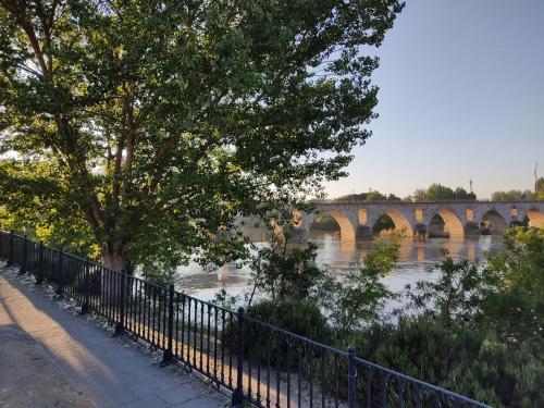 Apartamentos A Los Ojos Del R�o Duero