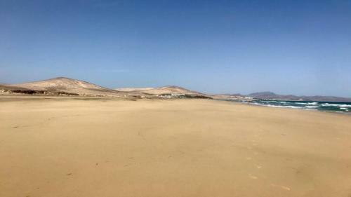 Wave Powered By Solymarcalma