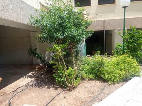 Apartamento Albatros