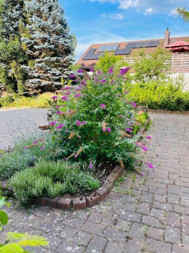 Apartamento Ferienappartement Am Almesbach Weiden