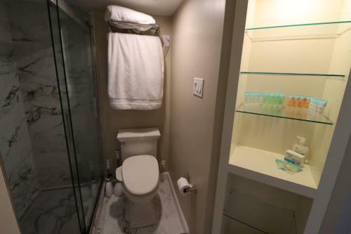 Apartamento Oceanfront Beach & Dolphins