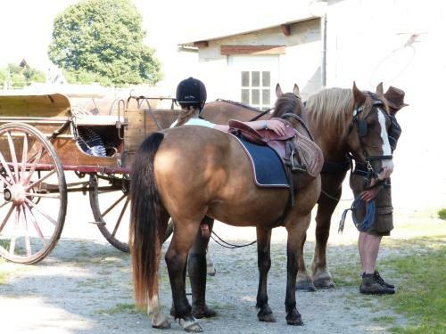 G�te Et Relais Equestre De Marie