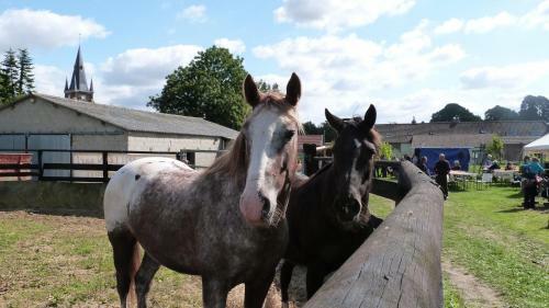 G�te Et Relais Equestre De Marie