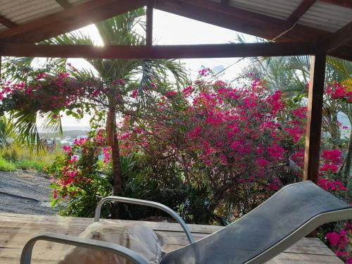 Apartamento Bougainvillea House