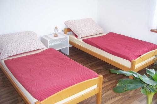 Apartamento Ubytovani Trojakova