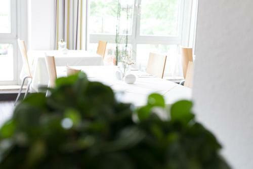 Hotel Ambiente