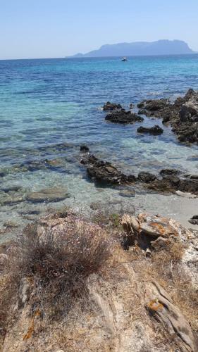 Appartamento - Villaggio Terrata- Golfo Aranci