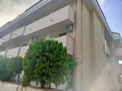 Albasummer - A Due Passi Dal Mare