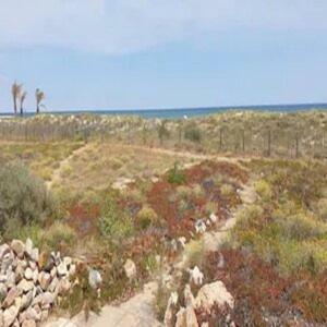 Apartamento Excellent Emplacement Pour T2 Direct Sur La Plage