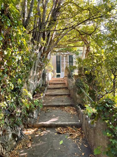 Apartamento Villa Gina