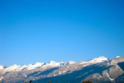 Hotel Albergo Bellaria