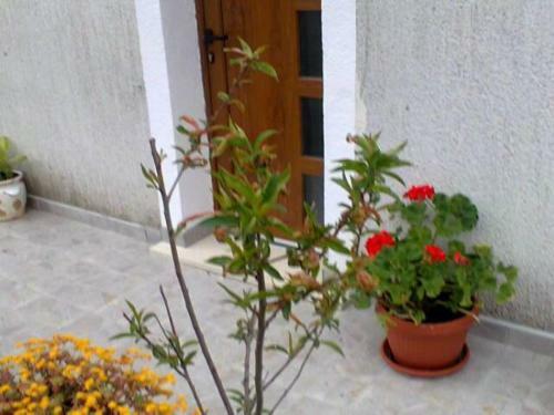 Hostal Guesthouse Adriana Cottages
