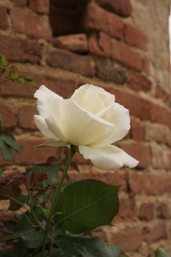 Bed & Breakfast Domaine De Belcayre