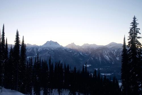 Alpenrose Revelstoke Bed & Breakfast