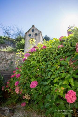 Hotel Logis Hostellerie Du Vieux Moulin