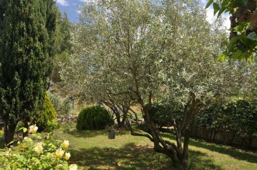 Bed & Breakfast Les 5 Oliviers