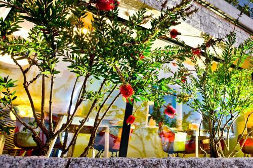 Hotel Rossi H�tel Fior Di Ribba