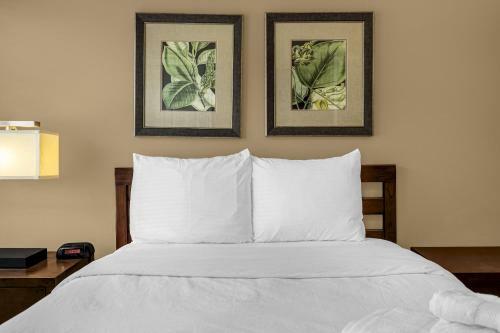 8543 - 4br Disney World Vacation Townhome