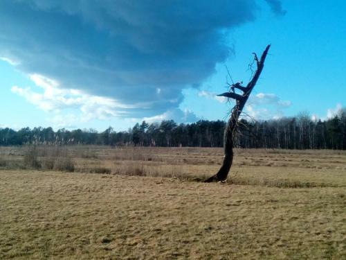 Landhaus Kranichwiese