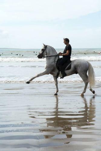 Hostal La Ferme Antoinette - Le Cheval Autrement