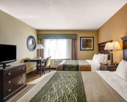 Hotel Comfort Inn Boston/woburn