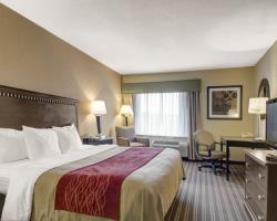 Hotel Comfort Inn Boston/woburn