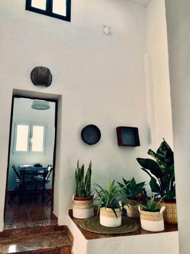 Casita Volcan Lanzarote