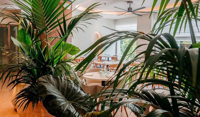 Hotel Jaime I