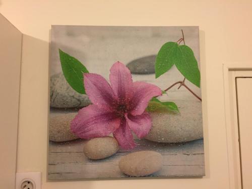 Apartamento Appartement Mimosa