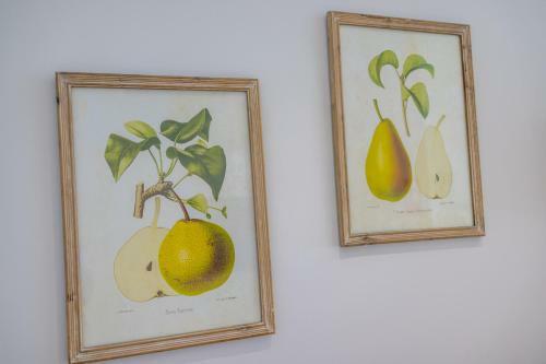 Hostal Florit Flats - The Serreria Rooms