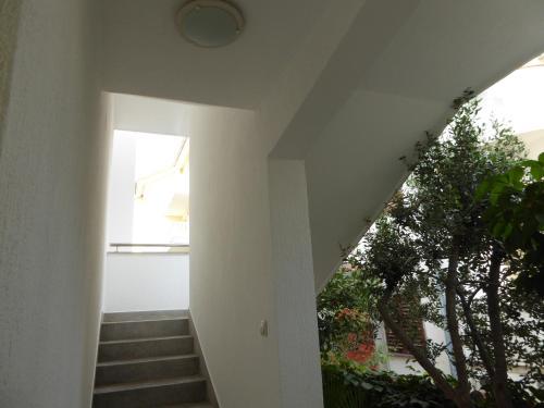 Apartments Bojanic