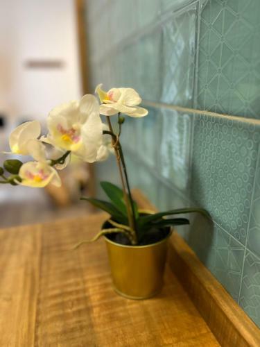 Apartamento Cotillo Park