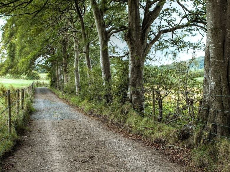 Hostal Ballylagan Organic Farm Guesthouse