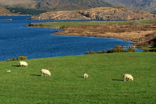 Hostal Lakelands Farm Guesthouse