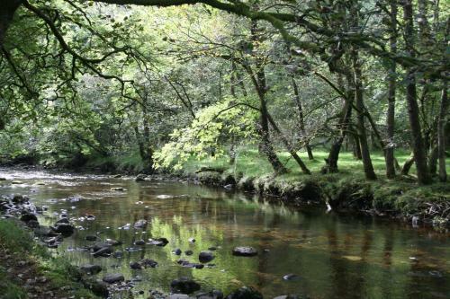 Nant Ddu Lodge Hotel & Spa