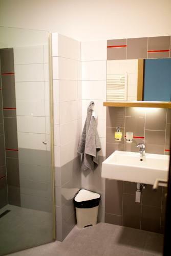 Hotel Penzion Zubr