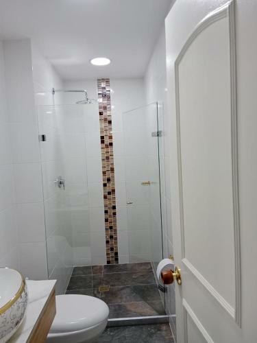Medellin Apartamento En Laureles