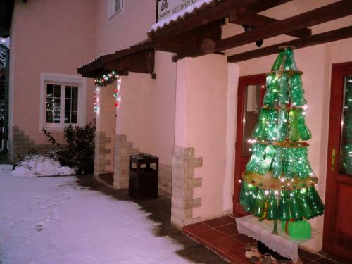 Hostal Penzion U Stud�nky