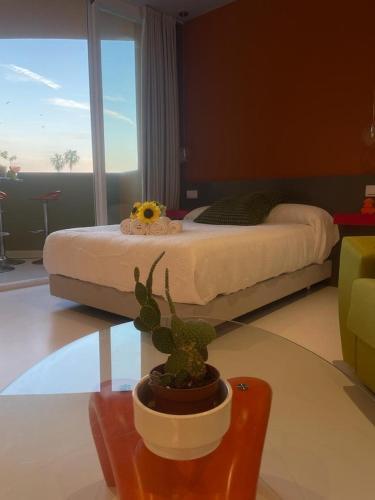 Apartamento Lahola Glam Suites