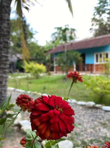 Agroturismo Caba�as Campestres La Aurora Del Llano