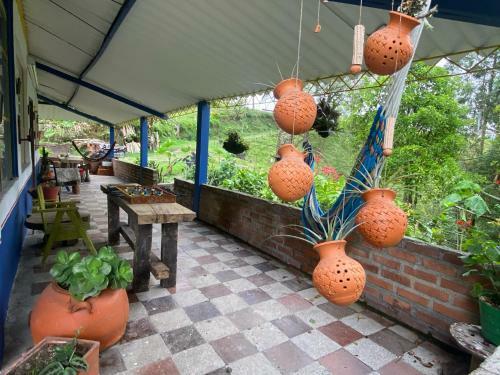 Agroturismo Las Hamacas (Hospedaje Rural)