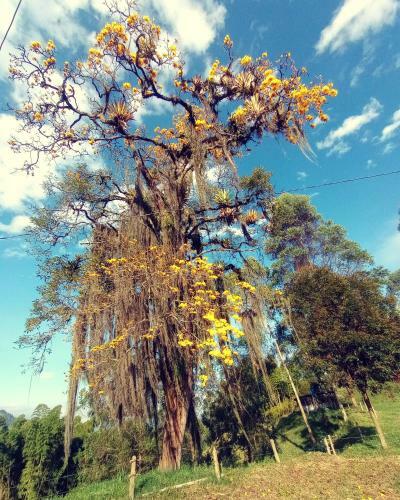 Agroturismo Las Hamacas (Hospedaje Rural)