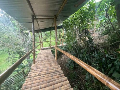 Mirador de La Monta�a Glamping
