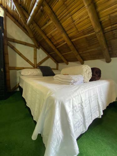 Hotel La Greca - Casa De Paz