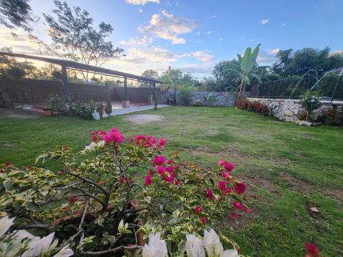 Caba�as Villa Paola