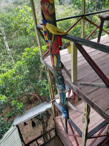 Hostal Lom�n De Los Zipas Amaz�nicos