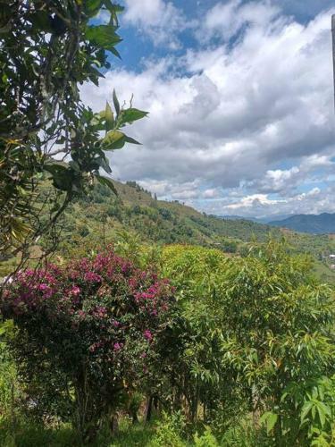 Un Lugar En El Cielo