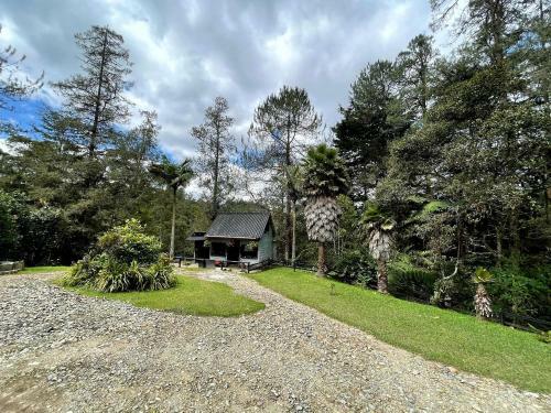 Casa 38 de La Parcelaci�n Lagos de Pontezuela