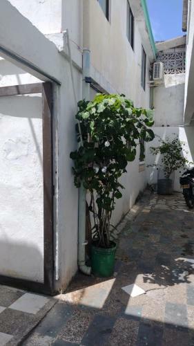 Apartamento Tur�stico Sea Garden